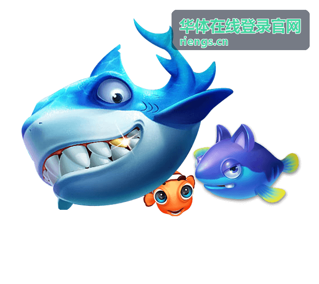 华体在线登录官网双重验证登录流程示意
