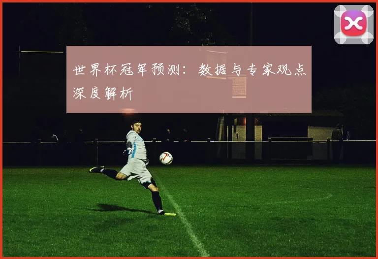 世界杯冠军预测：数据与专家观点深度解析