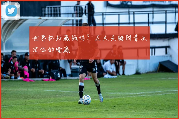 世界杯好赢钱吗？五大关键因素决定你的输赢