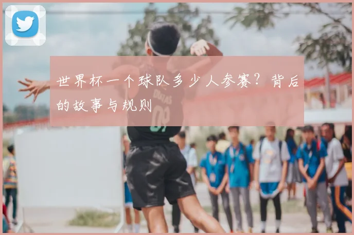 世界杯一个球队多少人参赛?背后的故事与规则