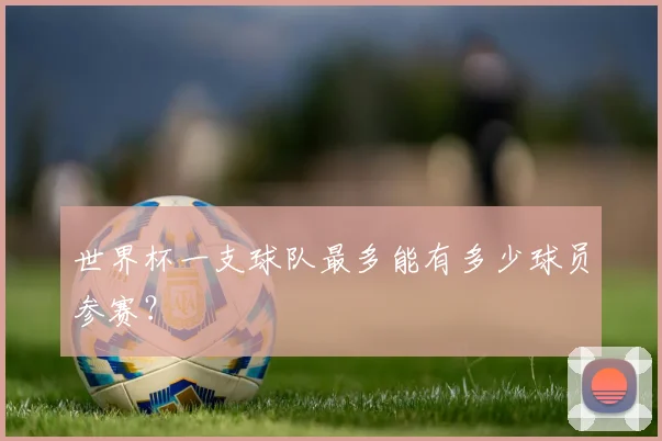 世界杯一支球队最多能有多少球员参赛?