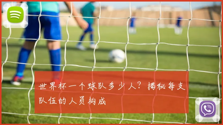 世界杯一个球队多少人?揭秘每支队伍的人员构成