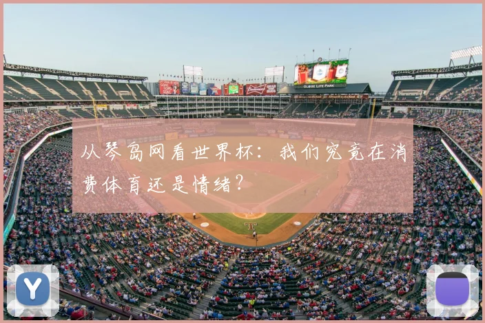 从琴岛网看世界杯：我们究竟在消费体育还是情绪？