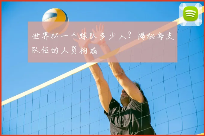 世界杯一个球队多少人?揭秘每支队伍的人员构成