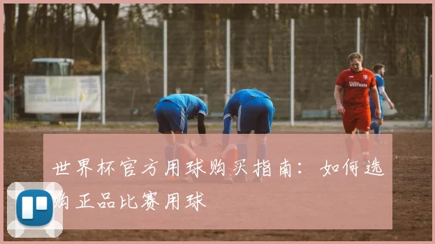 世界杯官方用球购买指南：如何选购正品比赛用球
