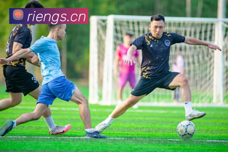 世界杯冠军预测：数据与专家观点深度解析